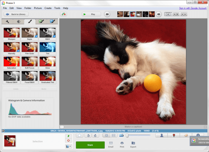 best-photo-editing-software-Picasa