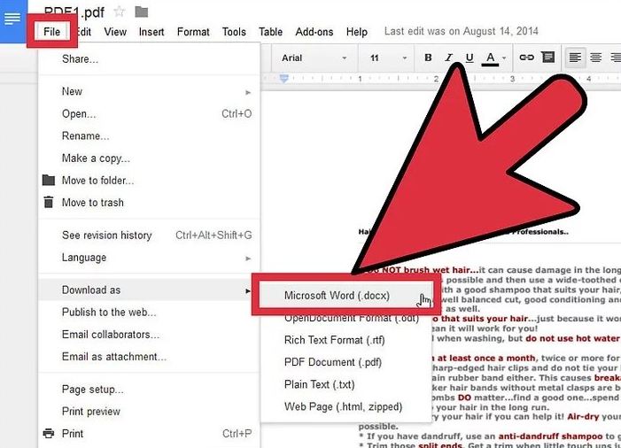 Save in Docx:Convert pdf to word document