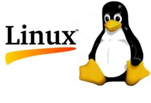 Hackers Prefer linux OS